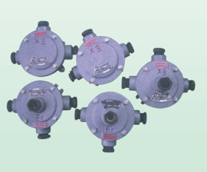 HYCdx船用防爆分線盒